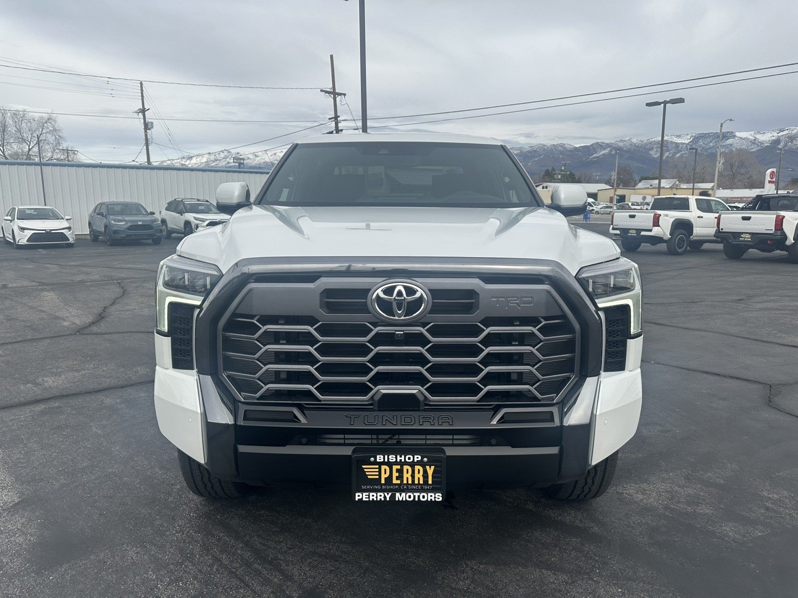2026 Toyota Tundra Platinum